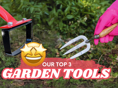 Three garden tools that everyone should have